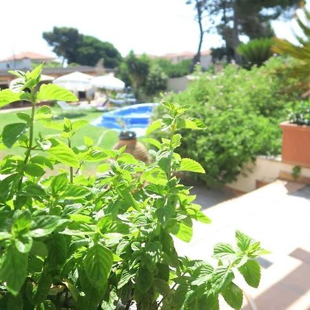 The Orange Grove Garden Room Μύτικας Εξωτερικό φωτογραφία