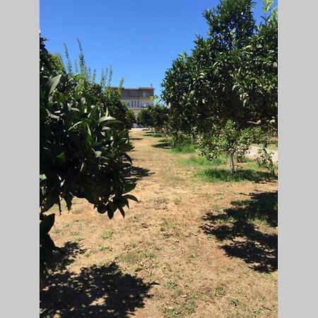 The Orange Grove Garden Room Μύτικας Εξωτερικό φωτογραφία