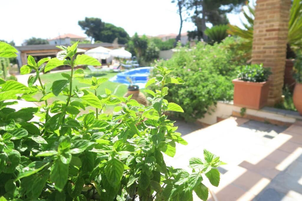 The Orange Grove Garden Room Μύτικας Εξωτερικό φωτογραφία