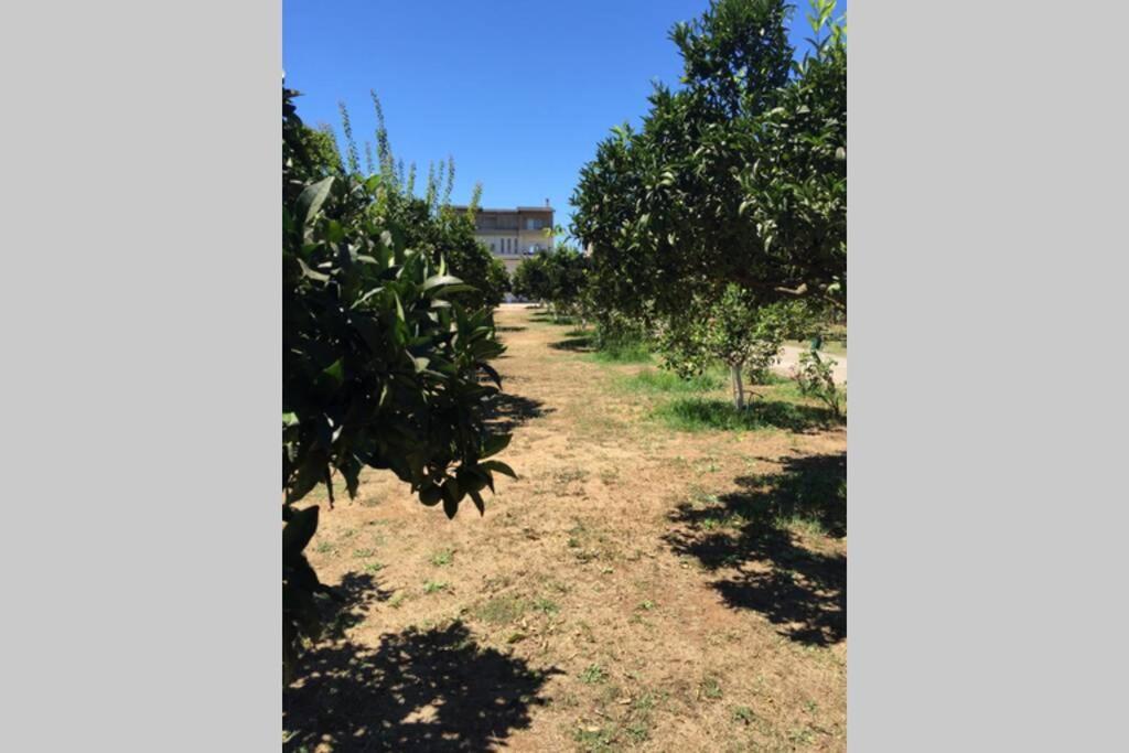 The Orange Grove Garden Room Μύτικας Εξωτερικό φωτογραφία